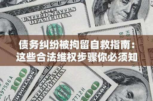 武汉债务纠纷被拘留自救指南：这些合法维权步骤你必须知道！