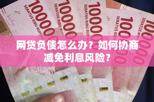 武汉网贷负债怎么办？如何协商减免利息风险？
