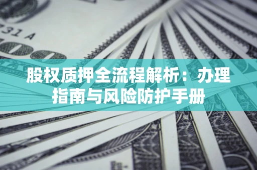 武汉股权质押全流程解析：办理指南与风险防护手册