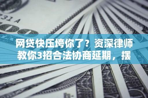 武汉网贷快压垮你了？资深律师教你3招合法协商延期，摆脱暴力催收！