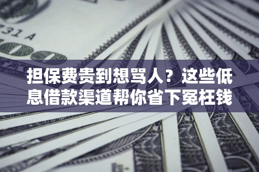 武汉担保费贵到想骂人？这些低息借款渠道帮你省下冤枉钱