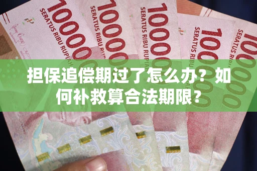 武汉担保追偿期过了怎么办？如何补救算合法期限？