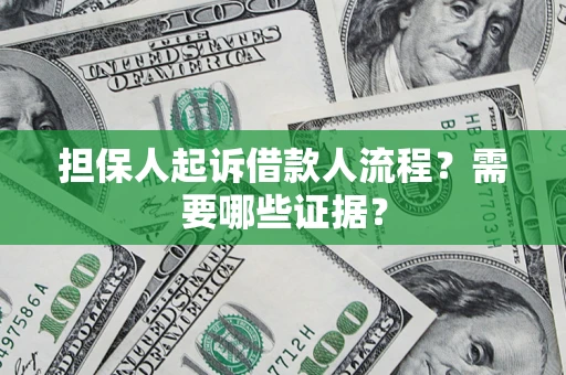 武汉担保人起诉借款人流程？需要哪些证据？