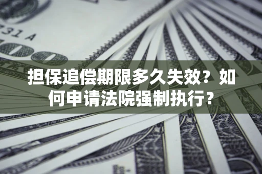 武汉担保追偿期限多久失效？如何申请法院强制执行？