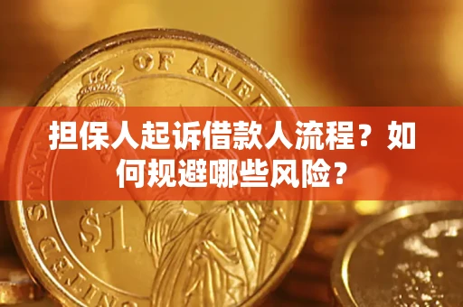 武汉担保人起诉借款人流程？如何规避哪些风险？