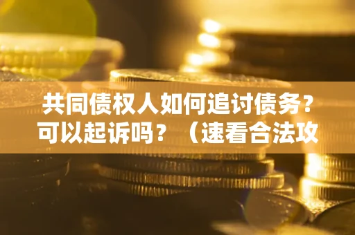 武汉共同债权人如何追讨债务？可以起诉吗？（速看合法攻略）