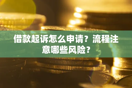 武汉借款起诉怎么申请？流程注意哪些风险？