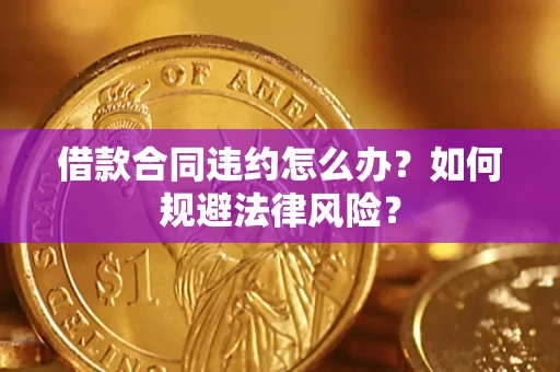 武汉借款合同违约怎么办？如何规避法律风险？